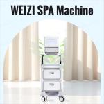 Anti Radical Hydrogen Water Bath Generator Machine DC12V Anti Aging