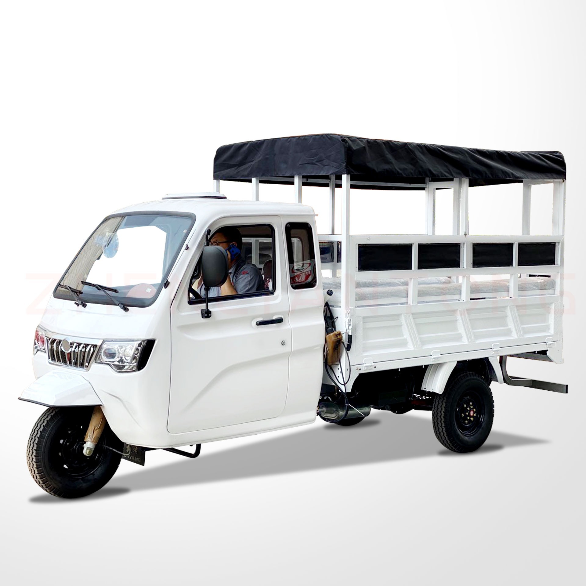 Custom Color Body Overall Frame 800cc Car Engine Motorcycle Tricycle for Adult 3 Wheel