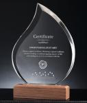 Wooden Base Custom Resin Trophies Personalized Crystal Trophy