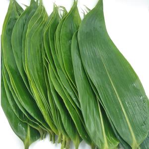 Wholesale Natural Big Size Sushi Food Decoration Bamboo Leaves 7-11cm from china suppliers