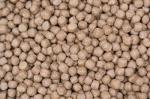 fish feed manufacturer fish food machine extruder plant