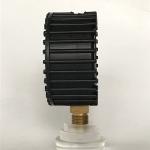 100mm Bellows Pressure Gauge 160 Brass Connection 50 MBar Radial Pressure Gauge