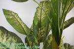 Artificial Golden Dieffenbachia Plant 43 Inch Tall Fake Tropical Lifelike Tree