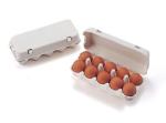 Biodegradable Plant Fiber Pulp Molding Egg Box Thermoforming Forming Machine