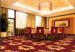 Colorful Hotel Carpet Flooring , Commercial Grade Carpet Tiles OEM Service