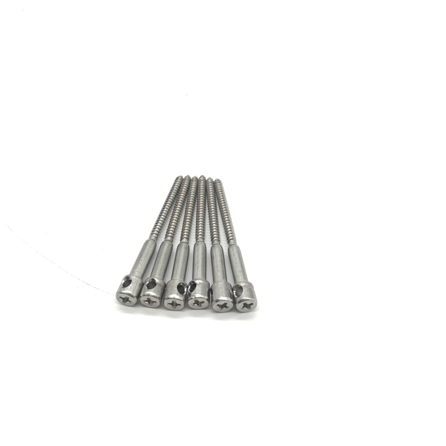 Self-Tapping Lead Seal Screw For Vehicle Taximeter Self-Tapping Screw With Hole M3*20