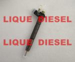 BOSCH Fuel injector 0445116041 35062005F 0 445 116 041 350 620 05F 0445116 041