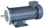 NEMA56C 90/180V DC MOTOR