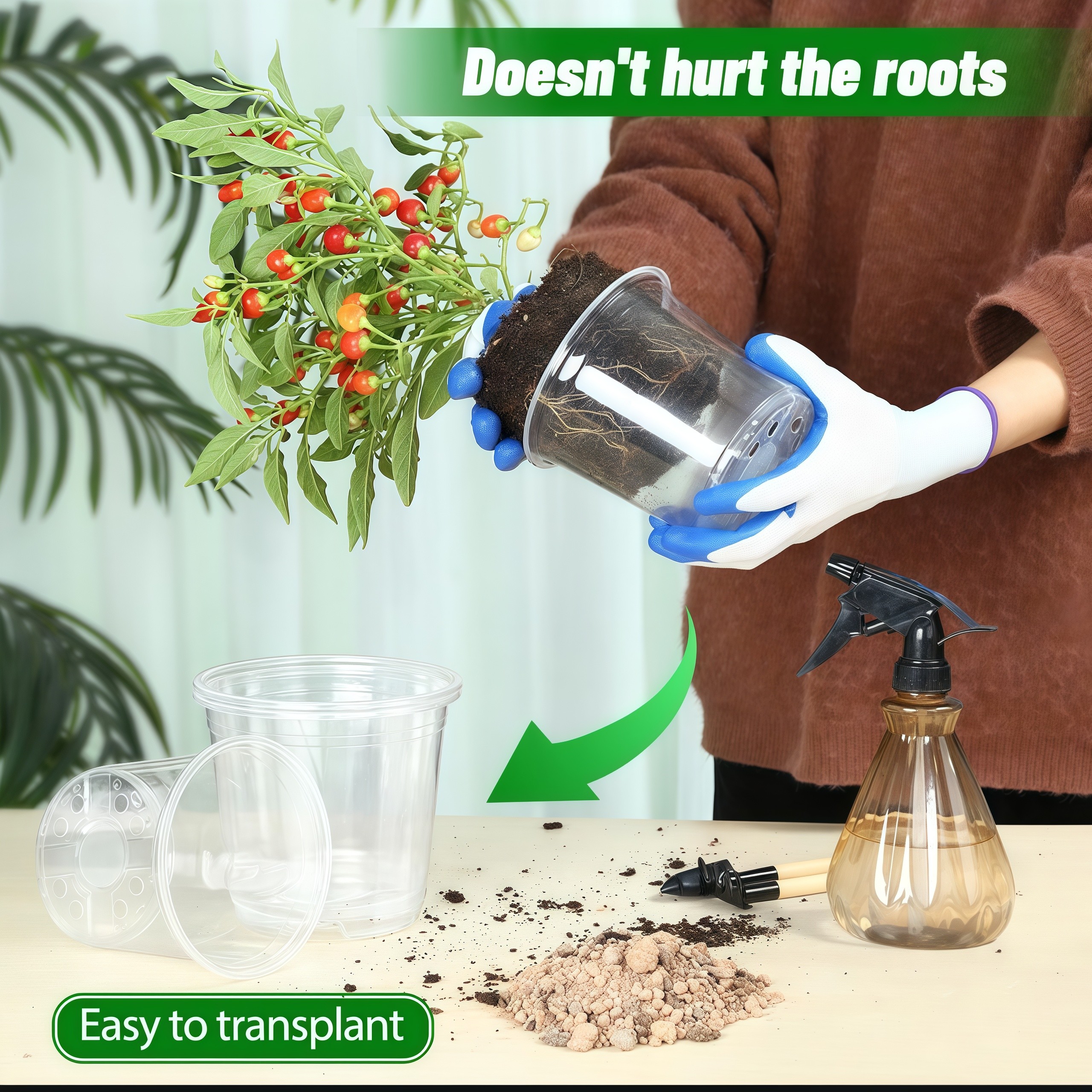 Transparent Phalaenopsis flower pot