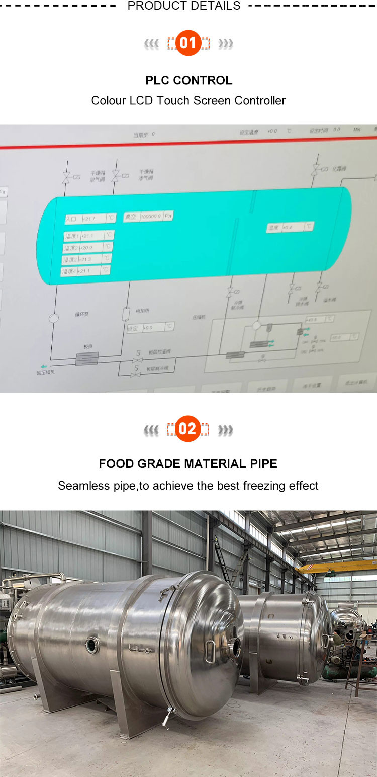 Commercial Industrial Large Lyophilizer Vacuum Freeze Drying Machine For Food Vegetable