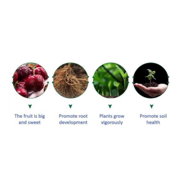 Sugar Cane Sourced Dry Molasses Powder Strengthen Cold Resistence Strengthen Root System