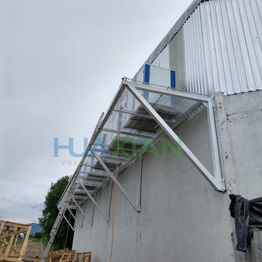 Vegetable Laboratory Walk in Freezer/Chiller/Cold Storage Rooms