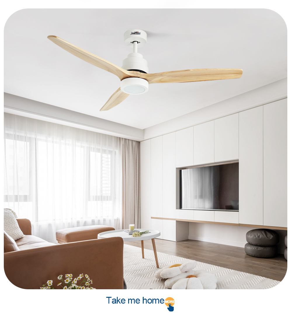 ceiling fan