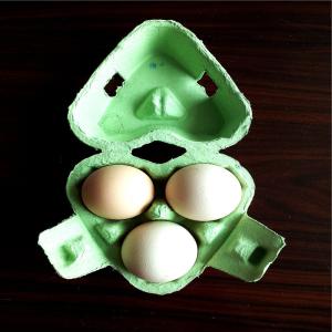 Wholesale Customizable Plastic Injection Food Container Mold Egg Carton Use from china suppliers