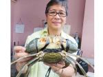Apartment crab, crab, crab culture box. Breeding container & box, combination of