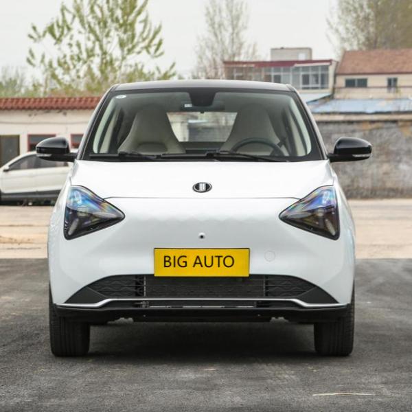 Low Consumption Pure Electric Car Joy 01 10.3kWh Per 100km Lang Range Electric