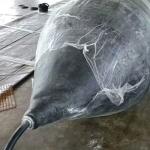 Boat Accessories Marine Supplies Airbag Ship Industrial Marine Balloons ﻿