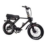 Rear Carrier Battery Position 750W Bafang Motor Electric Bicycle for Urban
