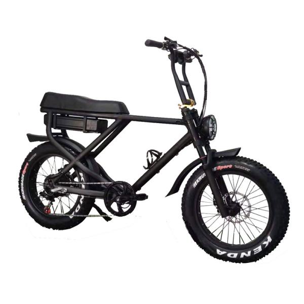 Rear Carrier Battery Position 750W Bafang Motor Electric Bicycle for Urban