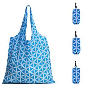 Wholesale Promotional Nylon Foldable Recycle Bag Ripstop Spring Sling Fashionable from china suppliers