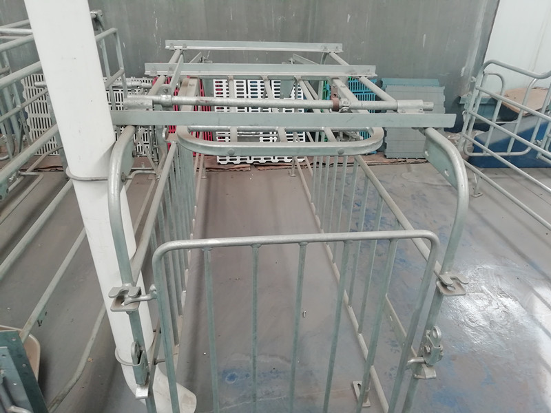 Anti Corrosion Pig Gestation Crates Easy To Assemble And Clean Long Using Life