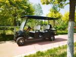 Customized Off Road Black 6 Seaters Golf Cart With AC Motor 3.5 KW Lead Acid