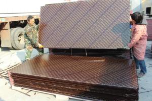 Wholesale Kemplywood, China famous brand film faced plywood, Best competitive construction shuttering plywood from china suppliers