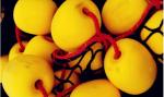 EVA Oval Fishing Net Floats Corrosion Resistance Tear Resistance