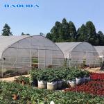 Galvanized Steel Structure PE Plastic Tunnel Greenhouse Polyethylene Film