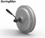 1000 Watt Electric Bike Wheel Hub Kit With 48V 11.6AH Lithium Battery