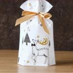 0.08mm 0.06mm LDPE CPE Xmas Drawstring Gift Bags