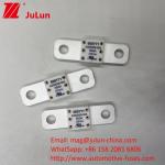 Ceramic A202008 250A 125VDC Car Battery Fuse For EV