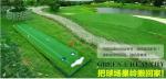 Artificial golf greens / putting practice