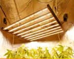 Garden Veg Bloom 600W LED Grow Light for Horticulture Hydroponics