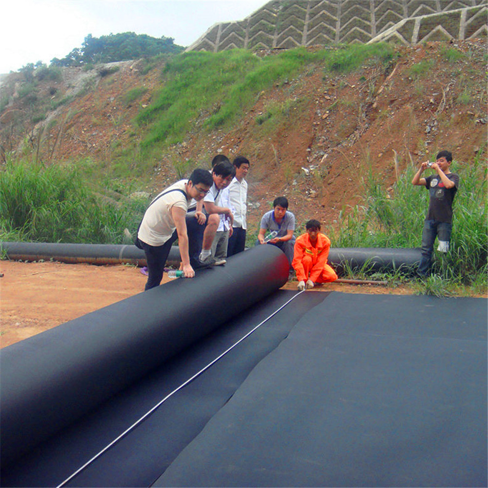 Asian Design Style 1mm Black HDPE Geomembrane Dam Liner for Environmental Protection