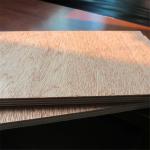 Commercial BB CC Grade 1220*2440*18mm Bintangor Plywood
