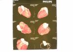 8 x 10 Scratch-resistant Medical Paper Xray Films For Konida Laser Printers