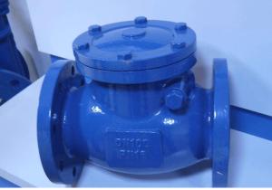 Wholesale API Cast Steel Non Return Check Valve Safety Reliable Sealing High Strength from china suppliers