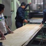 Sliced Cut Engineered Wood Veneer 2050-3200mm Lengthened Size