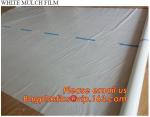 perforated ground film, Vapor Barrier film, Greenhouse film, Agricultural Panda