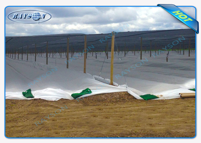 Durable Anti-UV Garden Weed Control Fabric / Agricultural Non Woven Fabric