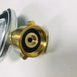 8mm/10mm/11mm Outlet Gas Tank Pressure Regulator for France and Indonesia Market
