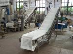 Belt Conveyor for Biomass Pellets Making