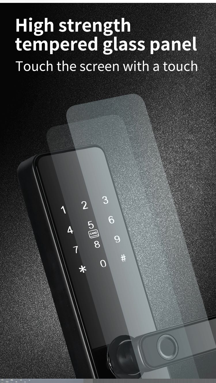 Intelligent Access Control Door Lock S819 with Tuya TTlock and Remote Control