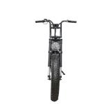 Adult Customized Color Vintage Electric Bike with 7 Speed Gears Step Through Fat