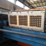 Fruit Tray / Egg Tray / Egg Carton Making Machine 20KW-150KW Easy Operation