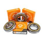 Chrome Steel Gcr15 N315EM Cylindrical Roller Bearing 75*160*37mm for Optimal