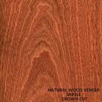 Paneling And Doors Africa Natural Sapele Wood Veneer Flat Cut Crown Grain AAA