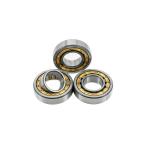 Open Seals Type N2310EM Cylindrical Roller Bearing 50*110*40mm with Chrome Steel