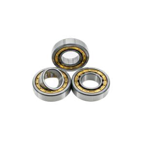 Wholesale N/NU/NJ/NF1007EM Cylindrical Roller Bearing 35*62*14mm for Machinery Repair Shops from china suppliers